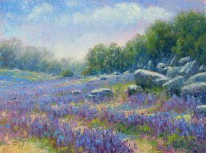 ACAI Folsom Lupine Bloom 1b