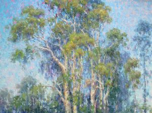 Trees The Eucalyptus Grove. 3 Jpg