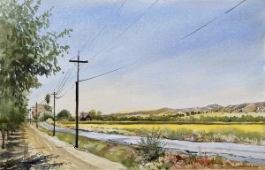 Tapp, Barbara Safflowers And Almonds Watercolor On Paper 11x17 $1,000
